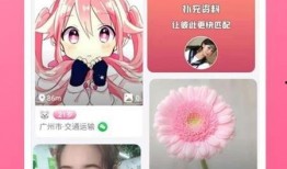 小樱最新爆料视频下载安装,下载安装全攻略